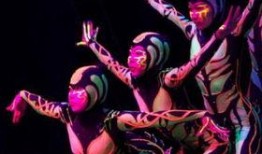 山东猴哥爆料事件视频